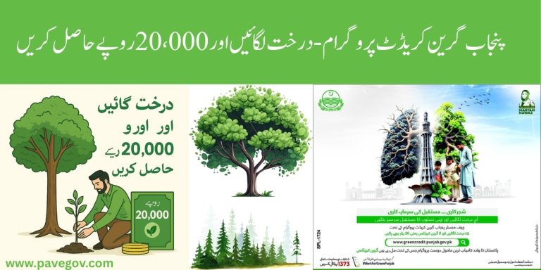 CM Punjab Green Credit Program