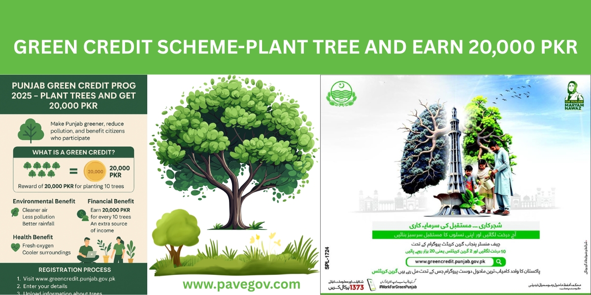 CM Punjab Green Credit Scheme 2025